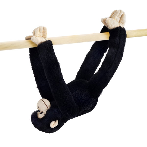 Hanging Monkey - Chimp - CHANDLER