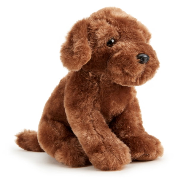 Chocolate Labrador 20cm - COCO
