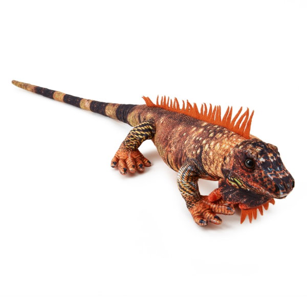 Iguana Red 60 cm - KARL