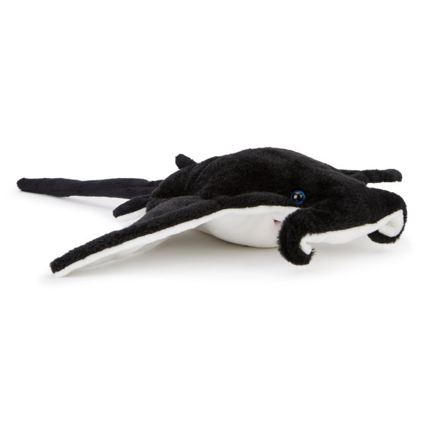 Manta Ray 33 cm - MADDIE