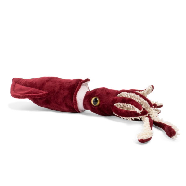 Cuttlefish 50 cm - RUPERT