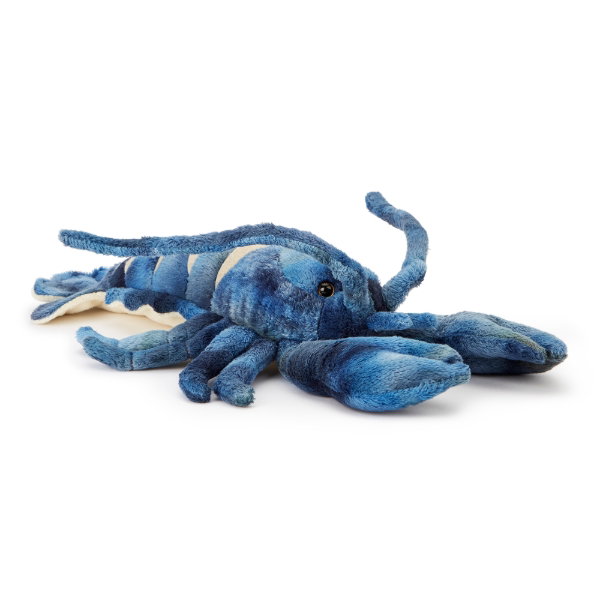 Common Lobster 33 cm - MAX