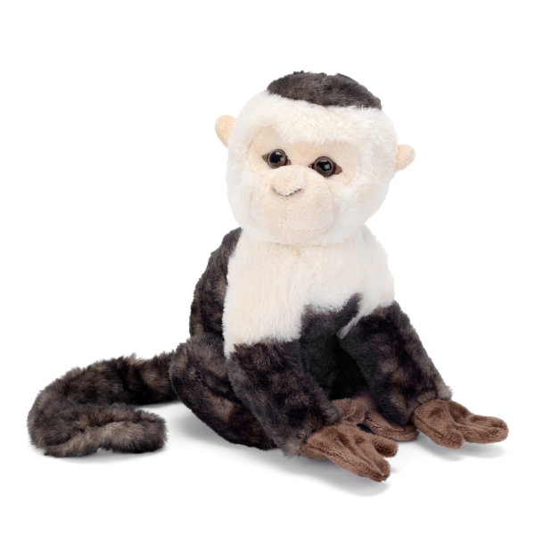 Capuchin Monkey 22cm - CHLOE