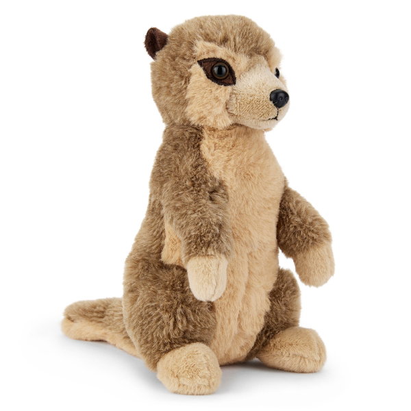 Meerkat 24cm - MATTHEW
