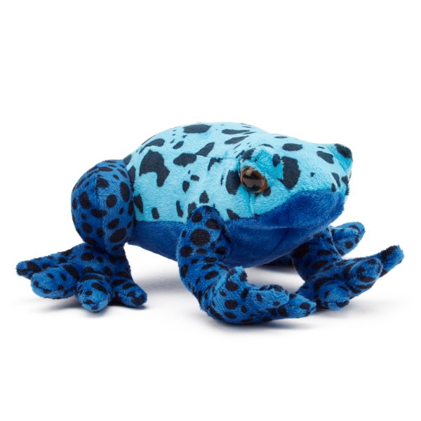 Blue Poison Dart Frog 15 cm ECO - PAIGE