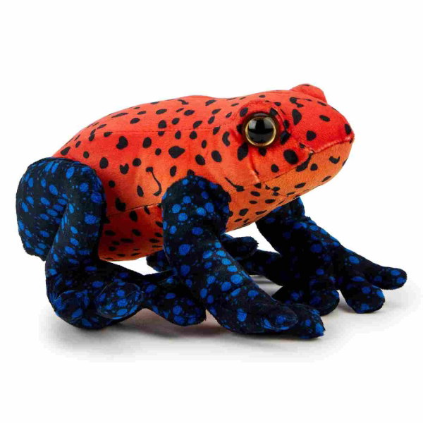Strawberry Poison Dart Frog 20 cm - PENNY