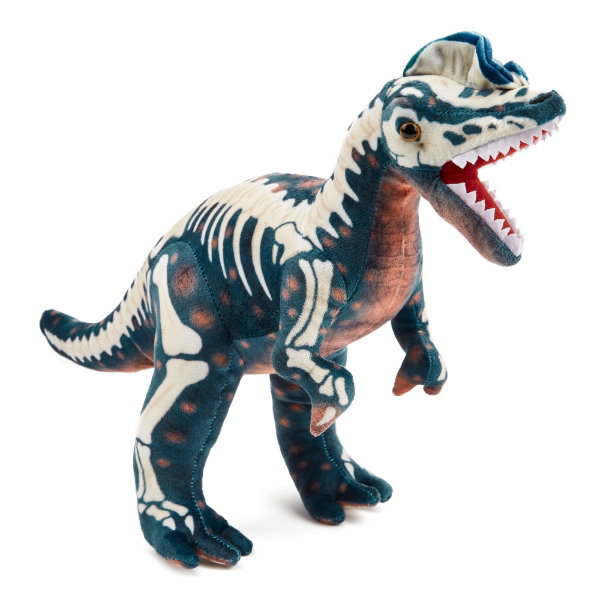 Diloposaurus Skeleton 40 cm - EDDY