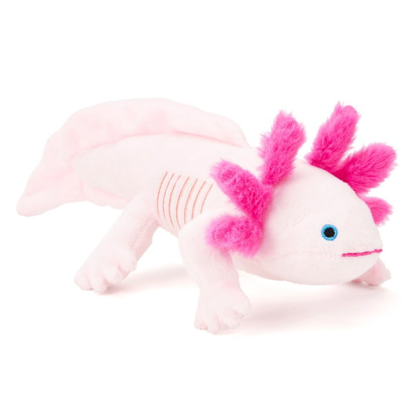 Medium Axolotl 30cm ECO - RACHEL
